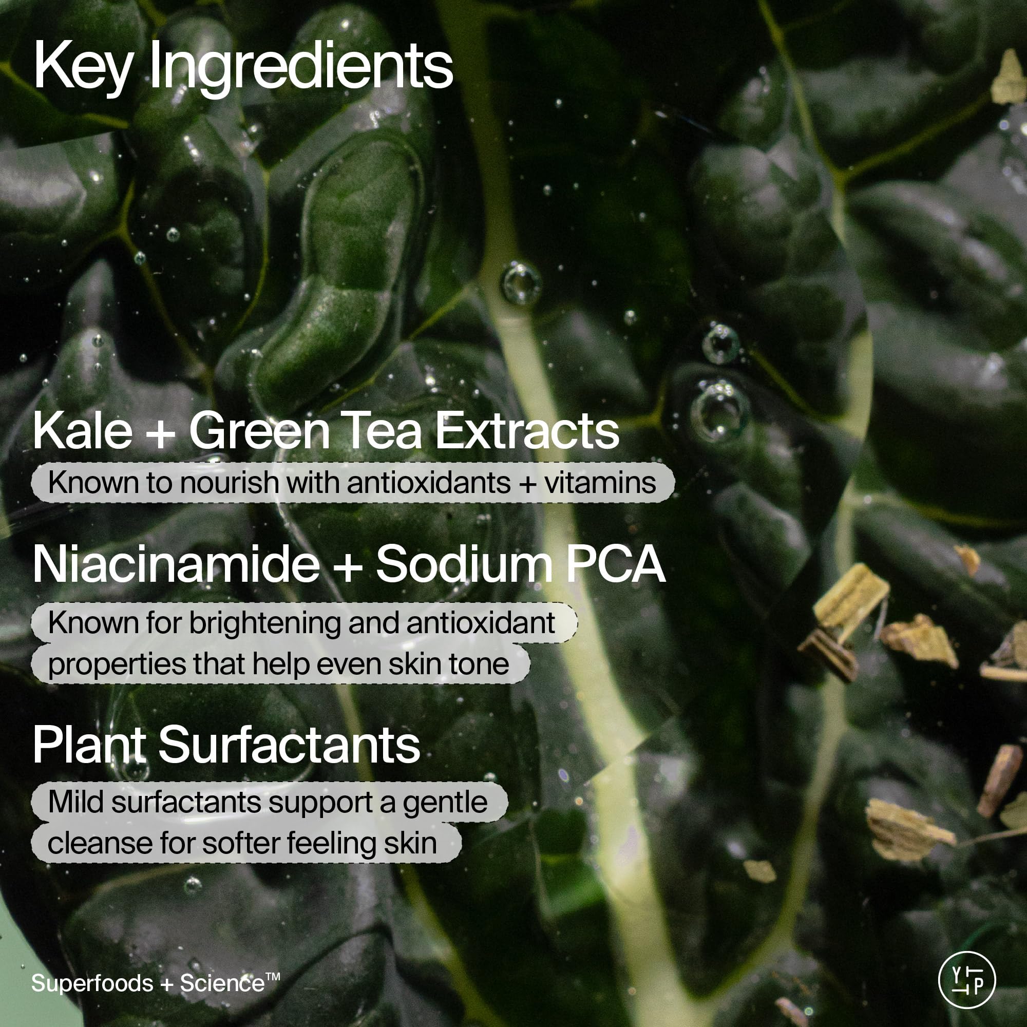 Youth To The People kale and green tea ingredients illustrating antioxidants