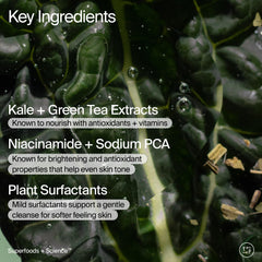 Youth To The People kale and green tea ingredients illustrating antioxidants