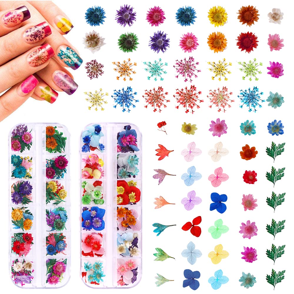 YWLI front packaging showing complete 216PCS kit and color variety for quick selection