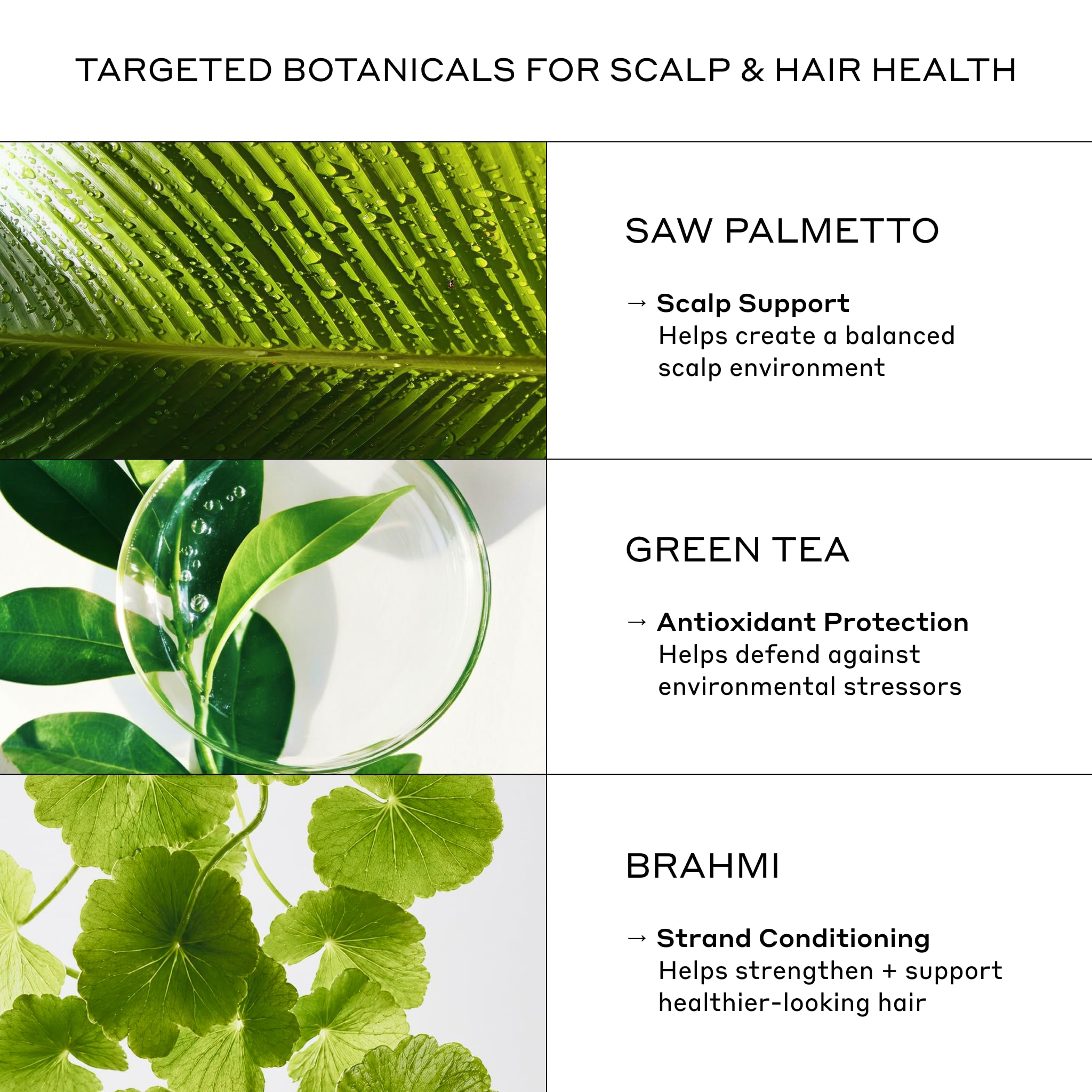 Zenagen Revolve shampoo texture on palm illustrating easy dispensing